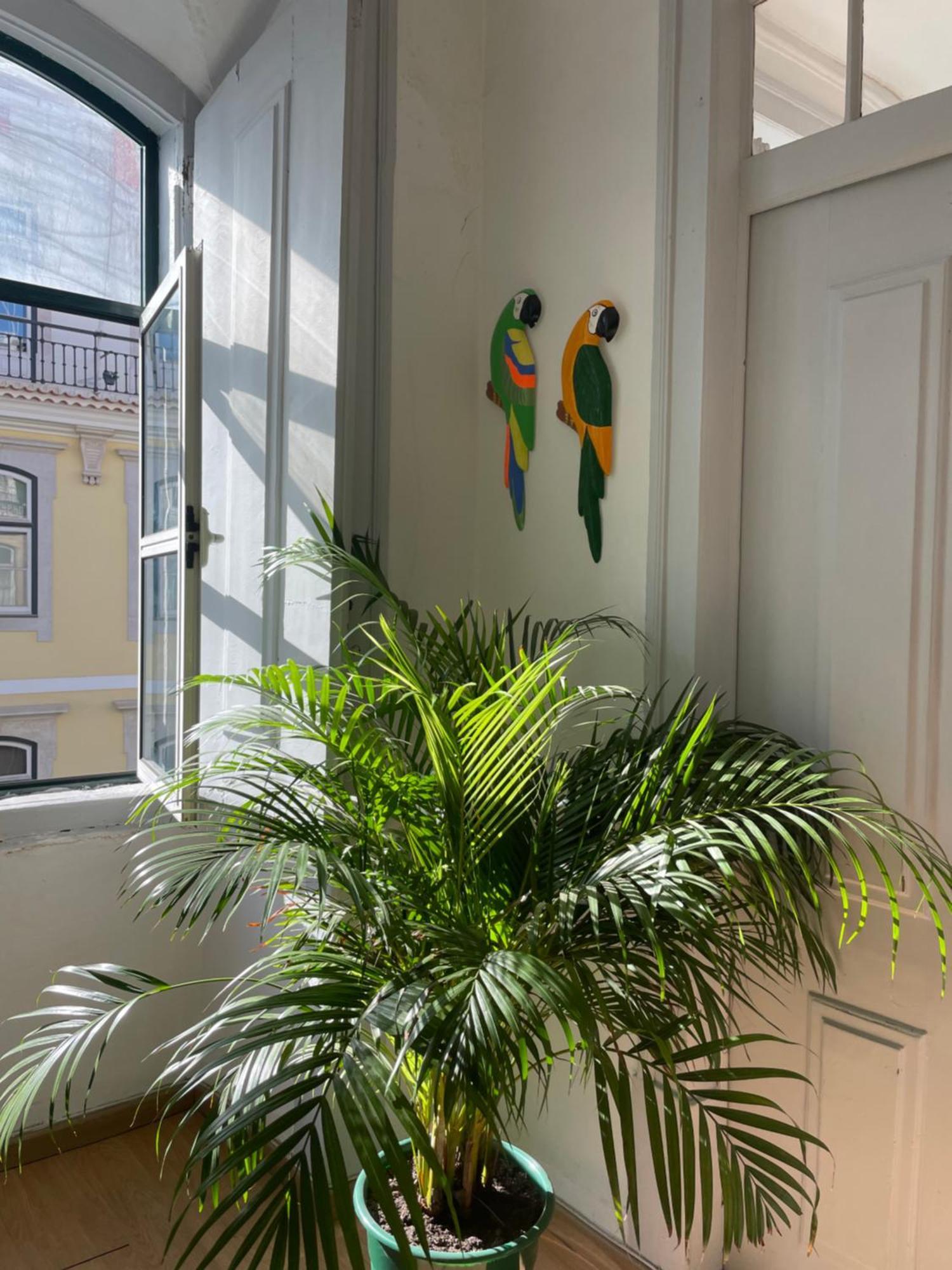 ליסבון Chiado Home מראה חיצוני תמונה